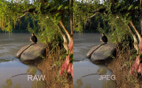 Sự khác biệt giữa file RAW và JPEG