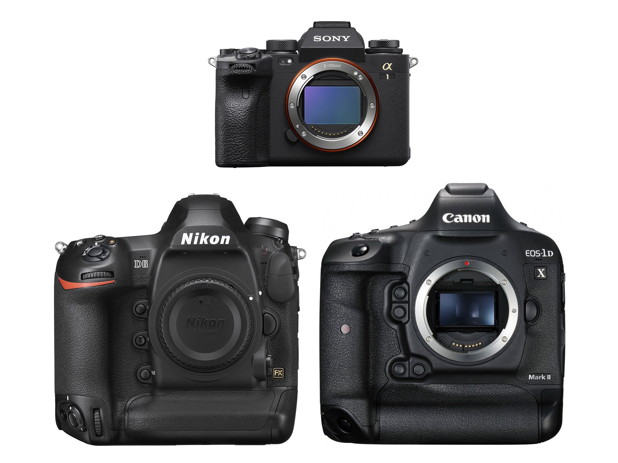 Sony-A1-vs-Nikon-D6-vs-Canon-1D-X-Mark-III.jpg