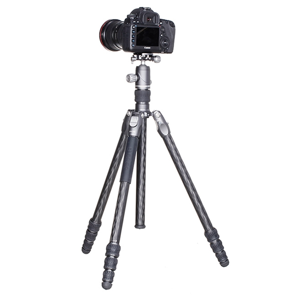 Benro Rhino FRHN24C-VX25