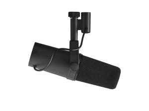 Shure SM7B ( Micro dynamic vocal )